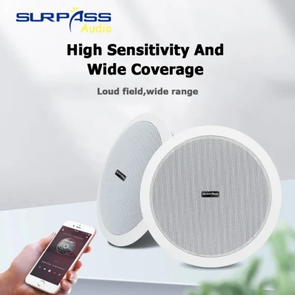 Home and commercial caixa de som Bluetooth speaker active and wired ceiling speaker background music stereo for Home Theater 10W