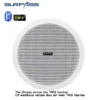 Home and commercial caixa de som Bluetooth speaker active and wired ceiling speaker background music stereo for Home Theater 10W