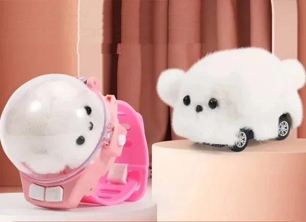 Children RC Car Mini Watch Toys With LED Lights 2.4GHz RC Car Toy Watch Rabbit Crab Racing Toys RC Car Girls Boys Birthday Gift